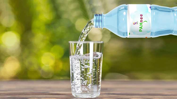 Protect Your Health with Fitwell Pahnee